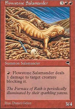Salamandre de fluipierre