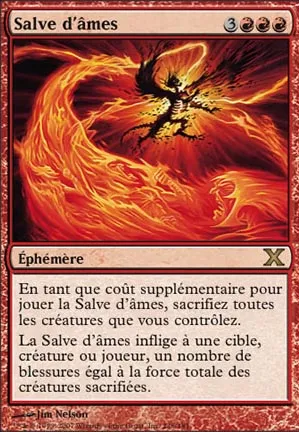 Salve d'âmes