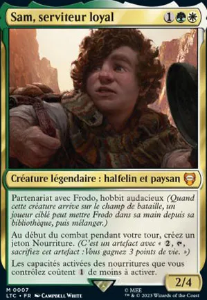 Sam, serviteur loyal