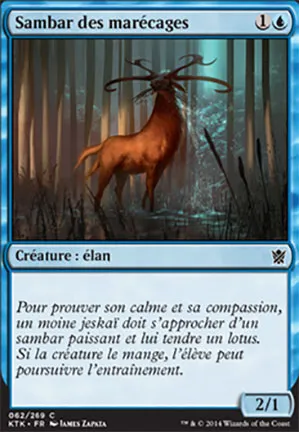 Sambar des marécages