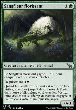 Sangfleur florissant