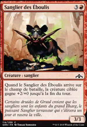 Sanglier des Éboulis
