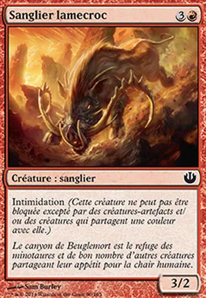 Sanglier lamecroc