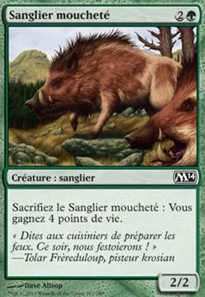 Sanglier moucheté