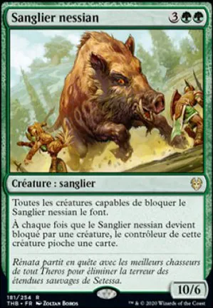 Sanglier nessian