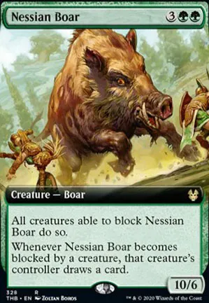 Sanglier nessian