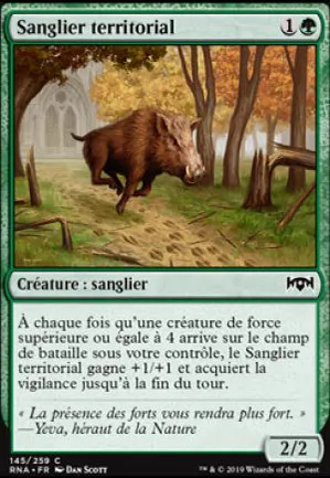 Sanglier territorial