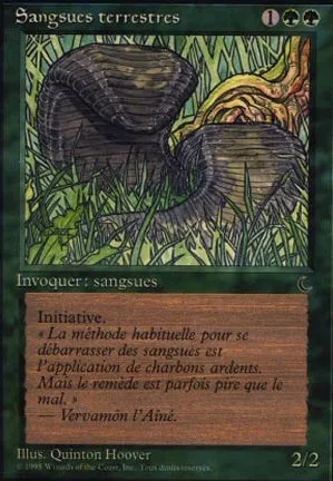 Sangsues terrestres
