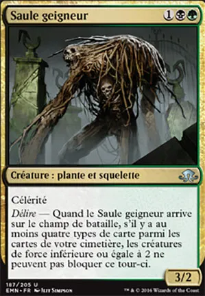 Saule geigneur