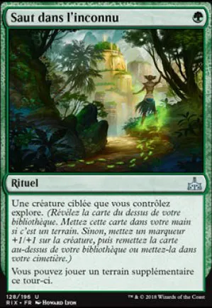 Saut dans l'inconnu