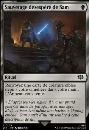 Sauvetage désespéré de Sam