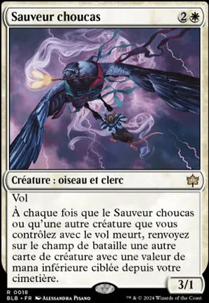 Sauveur choucas