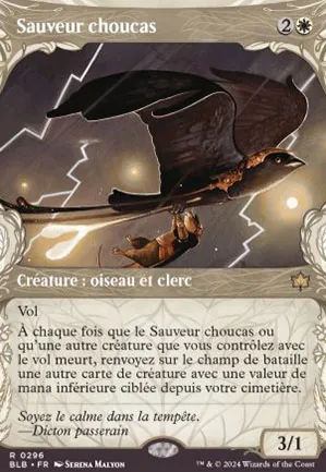 Sauveur choucas
