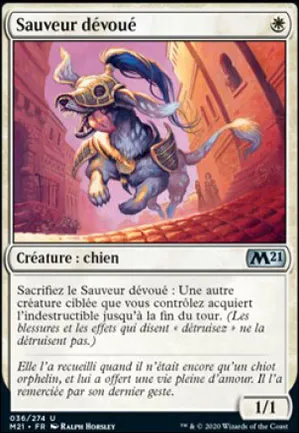 Sauveur dévoué