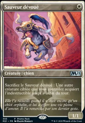 Sauveur dévoué