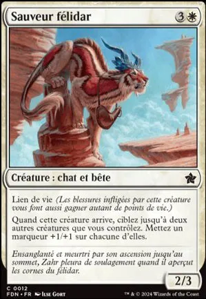 Sauveur félidar