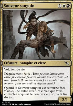 Sauveur sanguin