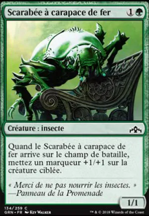 Scarabée à carapace de fer