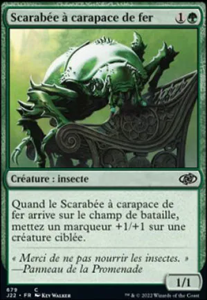 Scarabée à carapace de fer