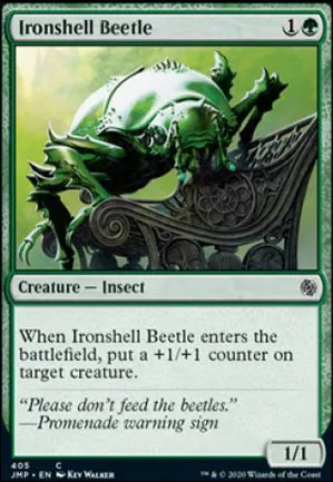 Scarabée à carapace de fer