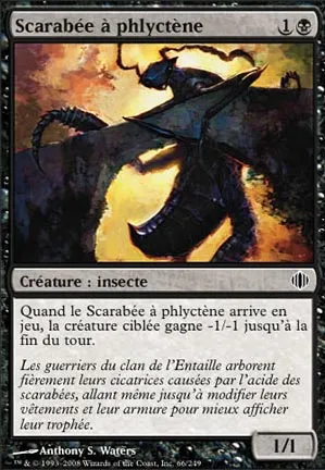 Scarabée à phlyctène