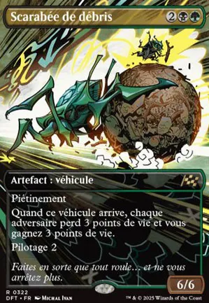 Scarabée de débris