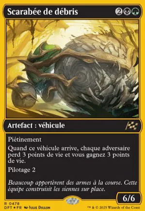 Scarabée de débris