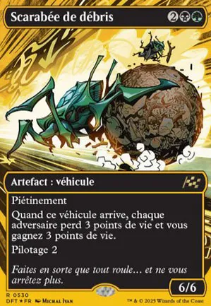 Scarabée de débris