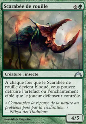 Scarabée de rouille