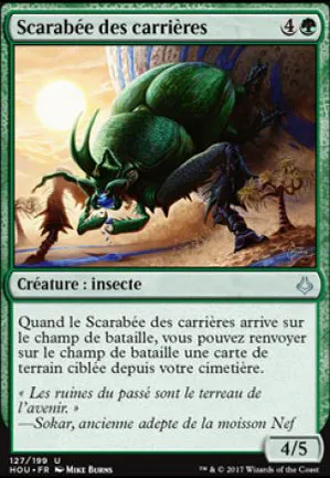 Scarabée des carrières