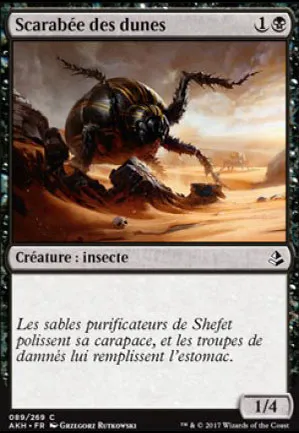 Scarabée des dunes