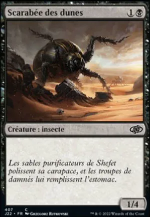 Scarabée des dunes