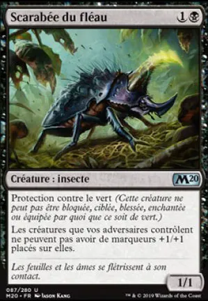 Scarabée du fléau