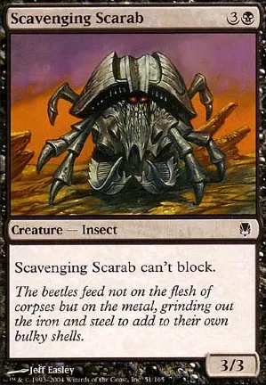 Scarabée nécrophage