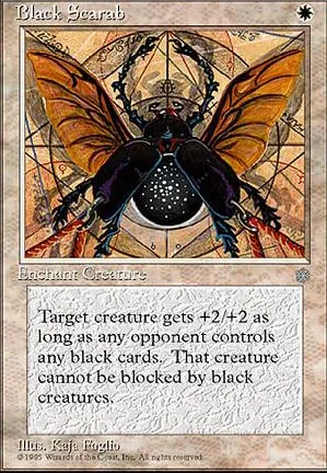 Scarabée noir