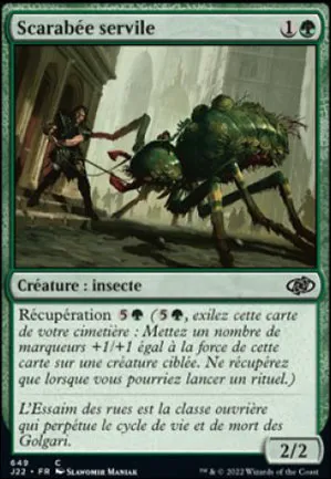 Scarabée servile