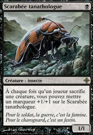 Scarabée tanathologue