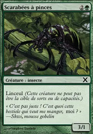 Scarabées à pinces