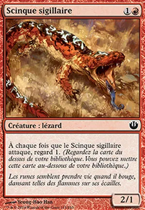 Scinque sigillaire
