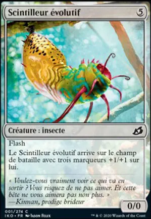 Scintilleur évolutif