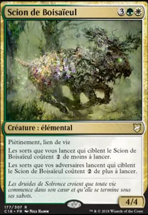 Scion de Boisaïeul
