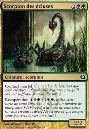 Scorpion des écluses