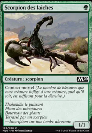 Scorpion des laîches