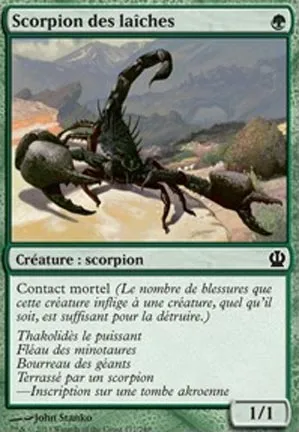 Scorpion des laîches