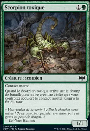 Scorpion toxique