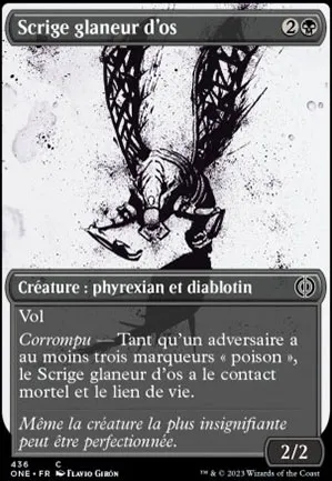 Scrige glaneur d'os