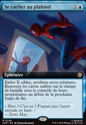 Se cacher au plafond