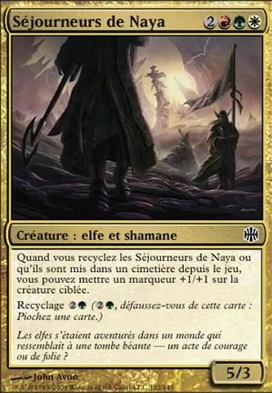 Séjourneurs de Naya