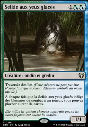 Selkie aux yeux glacés