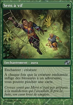 Sens à vif